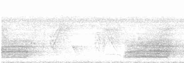 Variegated Tinamou - ML602400471