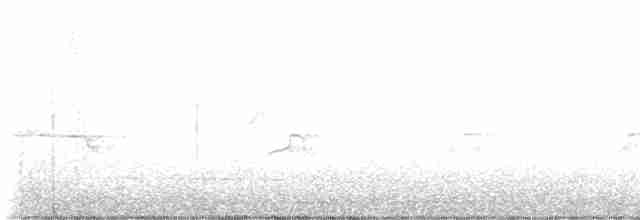 Короткохвостый канюк - ML602402131