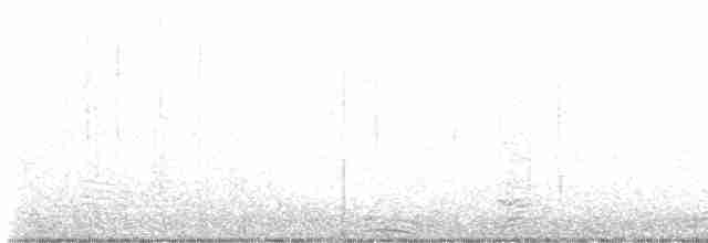 lesňáček černobílý - ML602402251