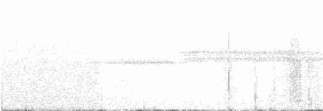 Sperlingsvogel, unbestimmt - ML60242721