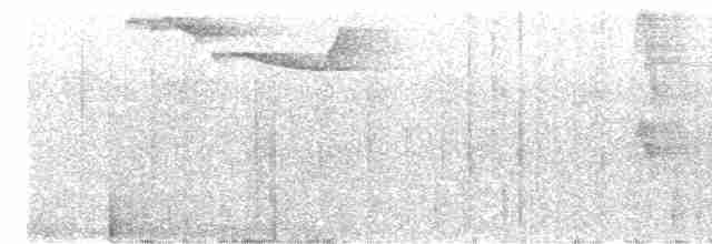 Чешуйчатогрудый пересмешник - ML602430841