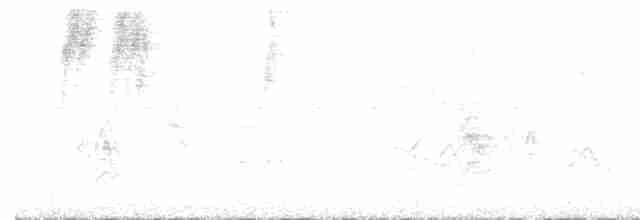 Трупіал-чернець чагарниковий - ML602503801