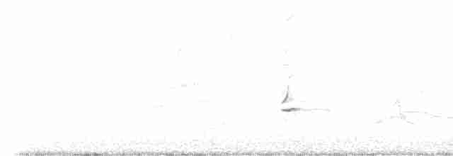 Oriole masqué - ML602526591