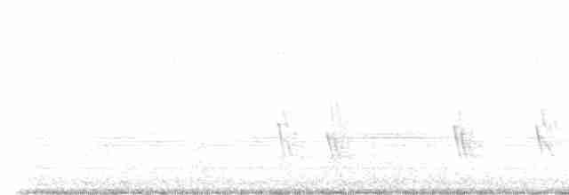 Büyük Mor Kırlangıç - ML602527511