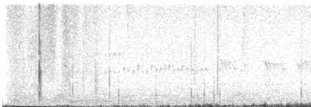 Исполинский колибри - ML602527611