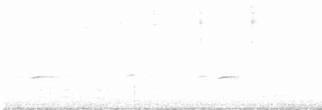 Fleckenpanthervogel - ML602535611