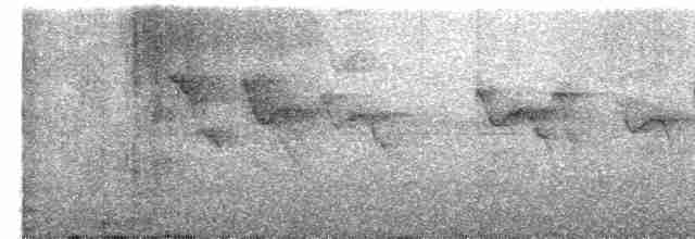 Окулярник фіджійський - ML602555541