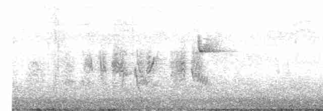 Braunaugenvireo (pusillus) - ML602561881