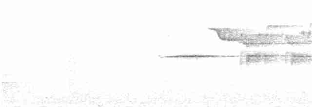 Дрозд-отшельник - ML60257541