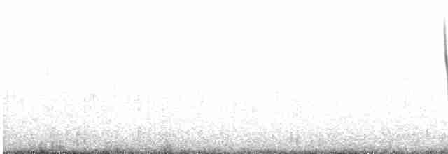 Светлокрылая трясохвостка - ML602582111