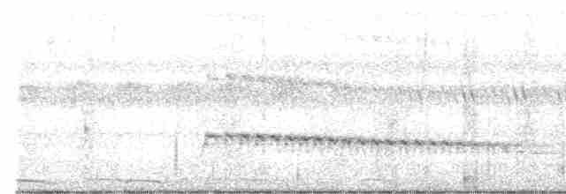 Alción de Esmirna - ML602585431