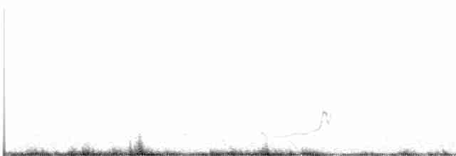 Snowy Plover - ML602592721