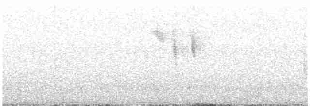 Spotted Flycatcher - ML602600191