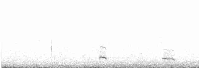 potápka stříbřitá - ML602622351