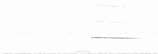 Дроздовая сельвиния - ML602637241