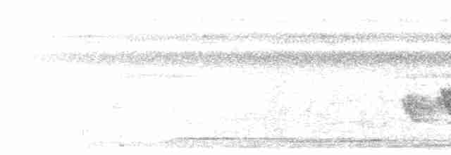 Черношапочный шелкопёр - ML602646941