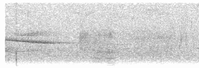 Tangara à poitrine fauve (taeniata) - ML602656351