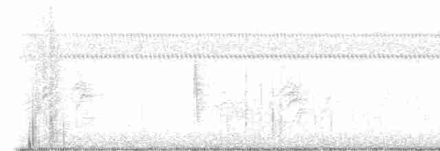 Краснохвостый канюк (borealis) - ML602660221