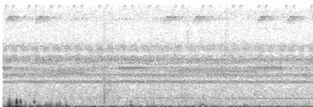 Рораймская совка [группа napensis] - ML602681101