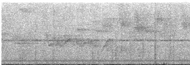 Трогон темноволий [група collaris] - ML602687371
