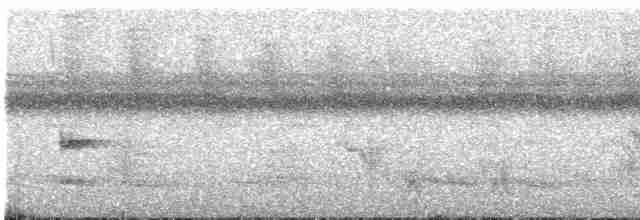 Channel-billed Toucan (Yellow-ridged) - ML602726261