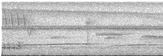 Лінивка-смугохвіст західна - ML602732831