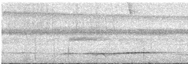 Лінивка-смугохвіст західна - ML602734371