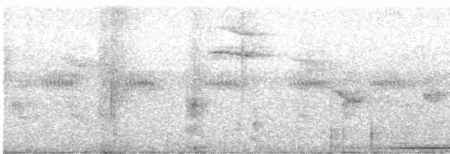 Chiriqui Quail-Dove - ML602782261