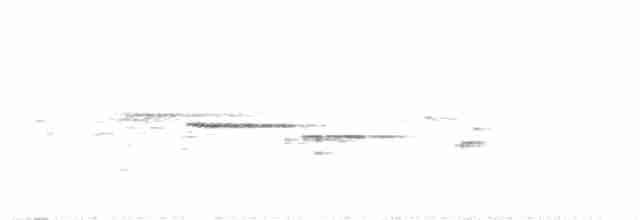 Дрізд-короткодзьоб андійський - ML60281071
