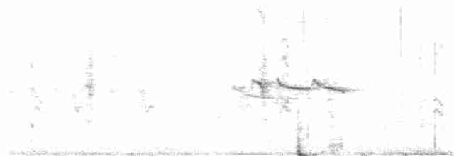 Lesser Goldfinch - ML60281461