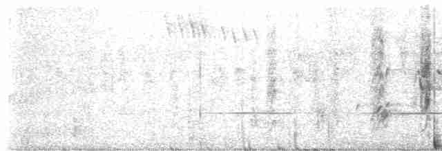 Australian Reed Warbler - ML602822611