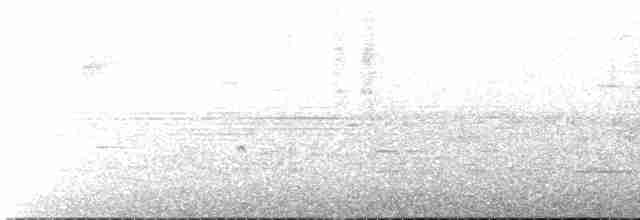 Kahverengi Vireo - ML602824531