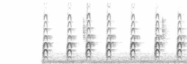Black-necked Stilt (Black-necked) - ML602827031