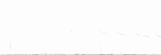 Каньонный крапивник - ML602875631