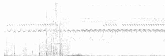 Small-billed Tinamou - ML602875701