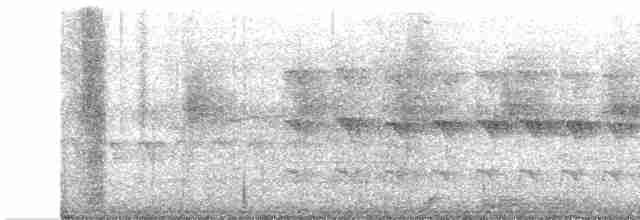 Grauschwanz-Dickichtschlüpfer - ML602884101