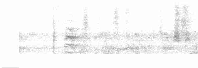 Grauschwanz-Dickichtschlüpfer - ML602891821