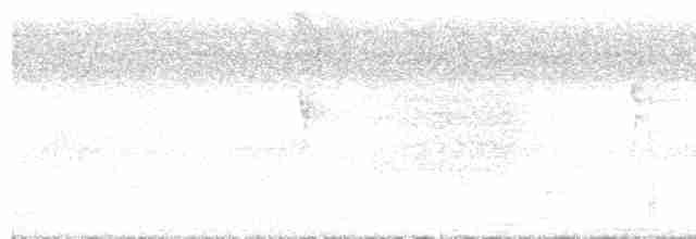 Little Tinamou - ML602928181