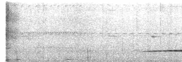 Méliphage de Viti Levu - ML602929351