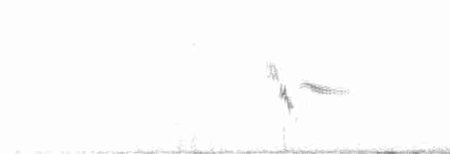 Tawny Pipit - ML602953231