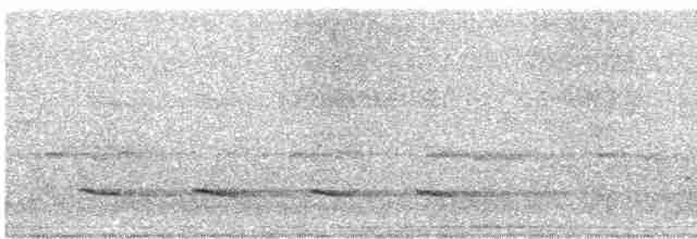 Méliphage à lunule - ML602962381