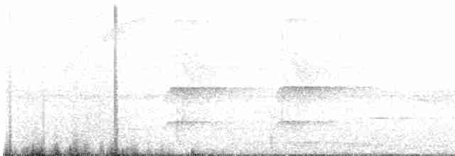 Манакінчик західний [група striolatus] - ML602995301