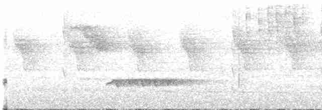 White-breasted Wood-Wren (Black-capped) - ML602996001