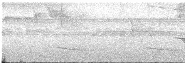 Slaty-capped Shrike-Vireo (Slaty-capped) - ML603006711