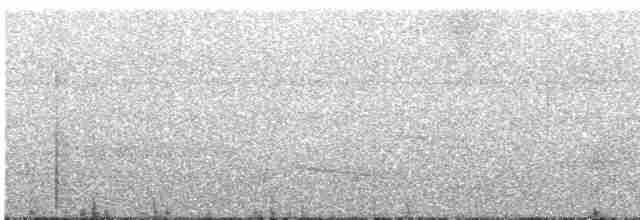 Gray-headed Kite - ML603007071