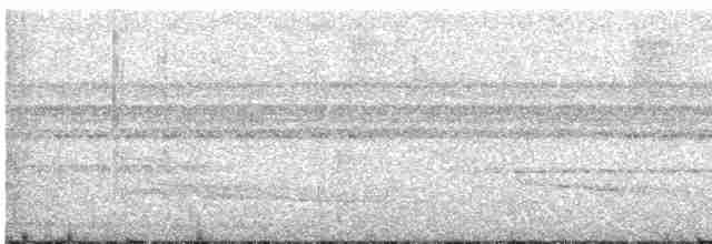 holub vínový [skupina purpureotincta] - ML603012871