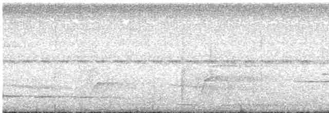 Ockerflecken-Ameisenwächter - ML603014091