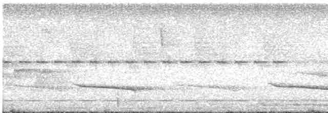 Мурав’янка-куцохвіст гвіанська - ML603015081