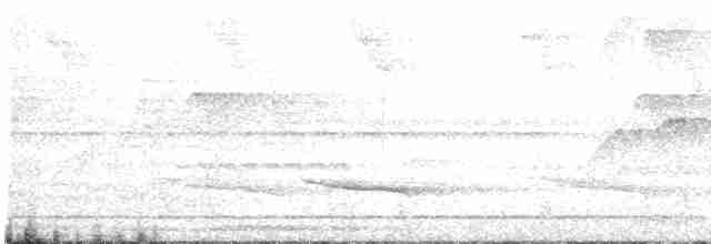 White-necked Thrush (Gray-flanked) - ML603015511