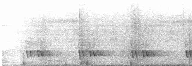 Black-eared Barbet - ML603017921